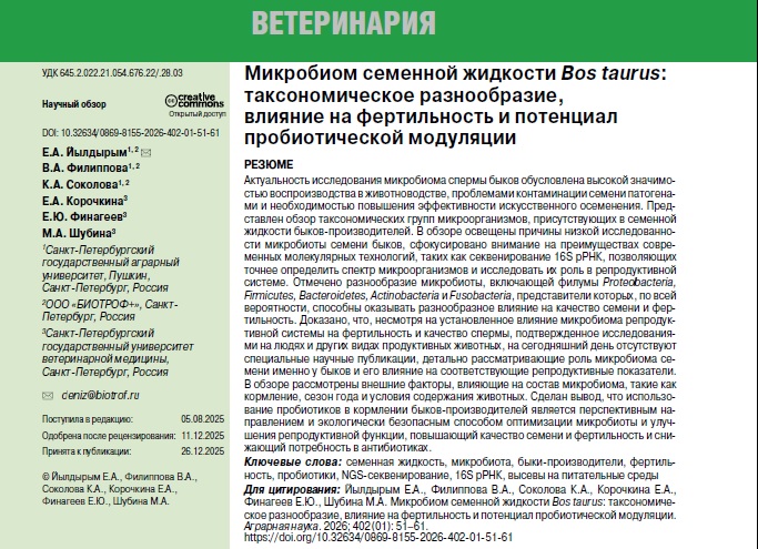 Микробиом семенной жидкости Bos taurus: таксономическое разнообразие, влияние на фертильность и потенциал пробиотической модуляции